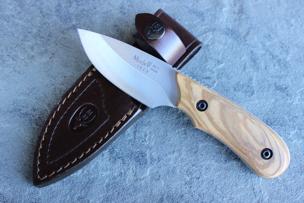 Muela Caping Knife with Olive Handle (MUIBEX8OL)