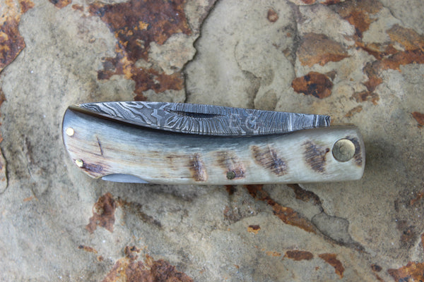 El Gallo EG99jrRHLdam Ram Horn Small Lockback Damascus