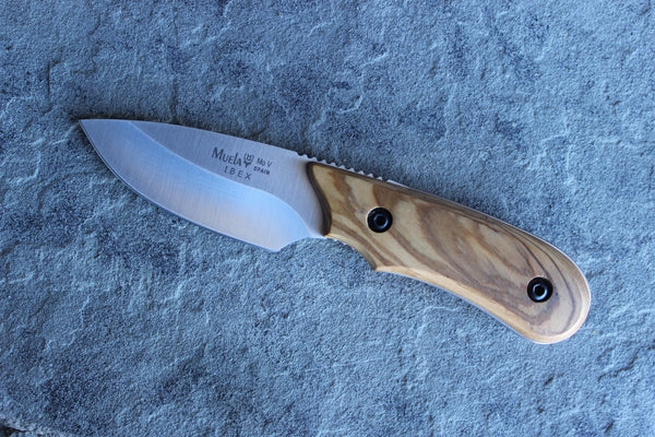 Muela Caping Knife with Olive Handle (MUIBEX8OL)